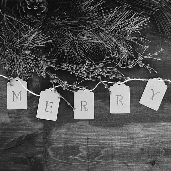 Merry Christmas