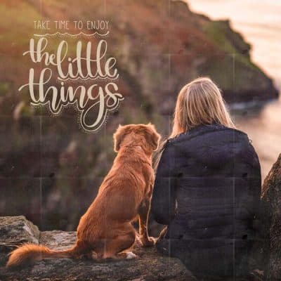 The Little Things Mockup