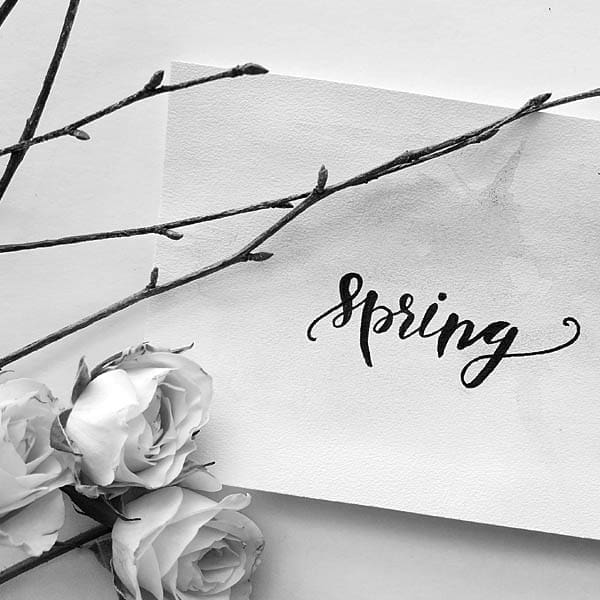 Spring